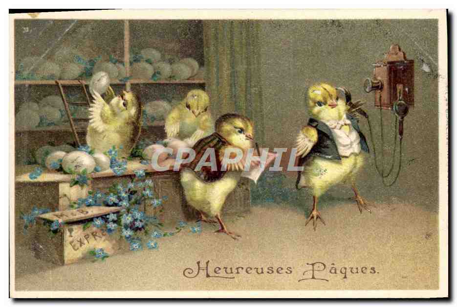 CPA Fantaisie Telephone Poussins 