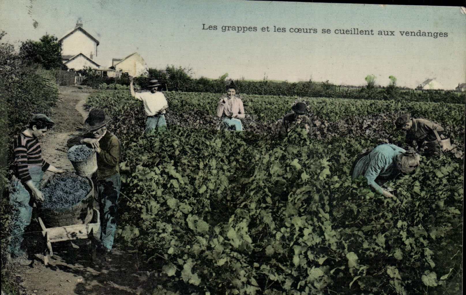 CPA Folklore Les grappes et les coeurs se cueillent aux vendanges