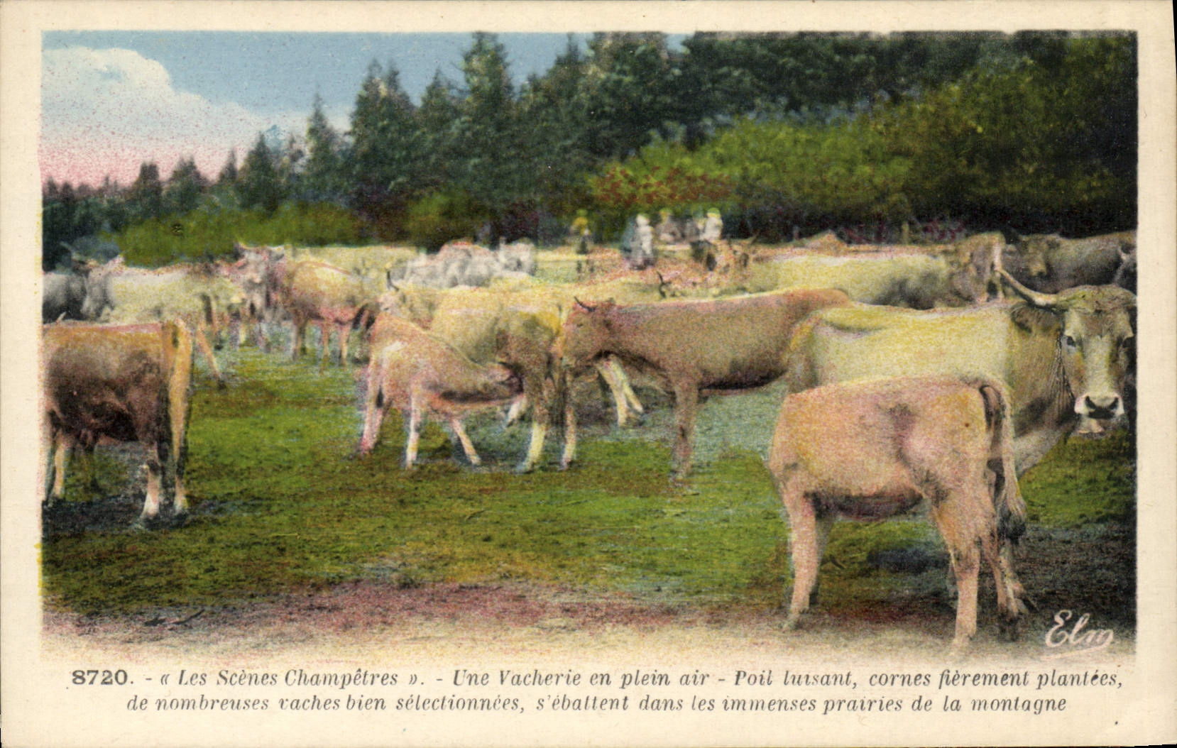 CPA Scenes champetres Une vacherie en plein air Vaches 