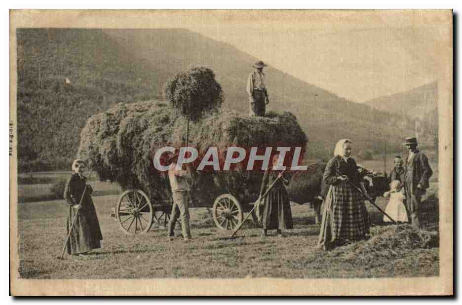 Scène de moissonnage — Montagne — Éditeur non visible