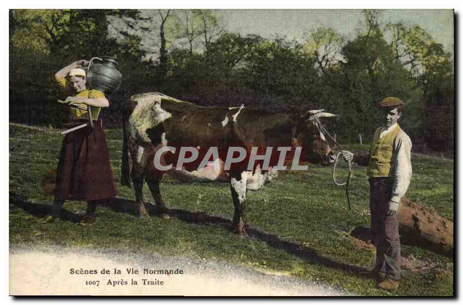 CPA Folklore Scenes de la vie Normande Apres la traite Vache 