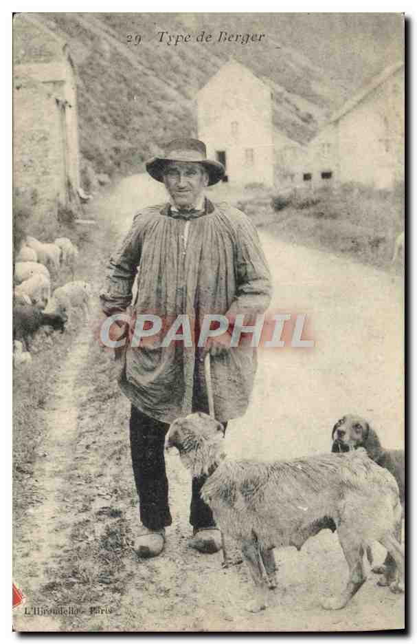 CPA Folklore Type de berger Chien 