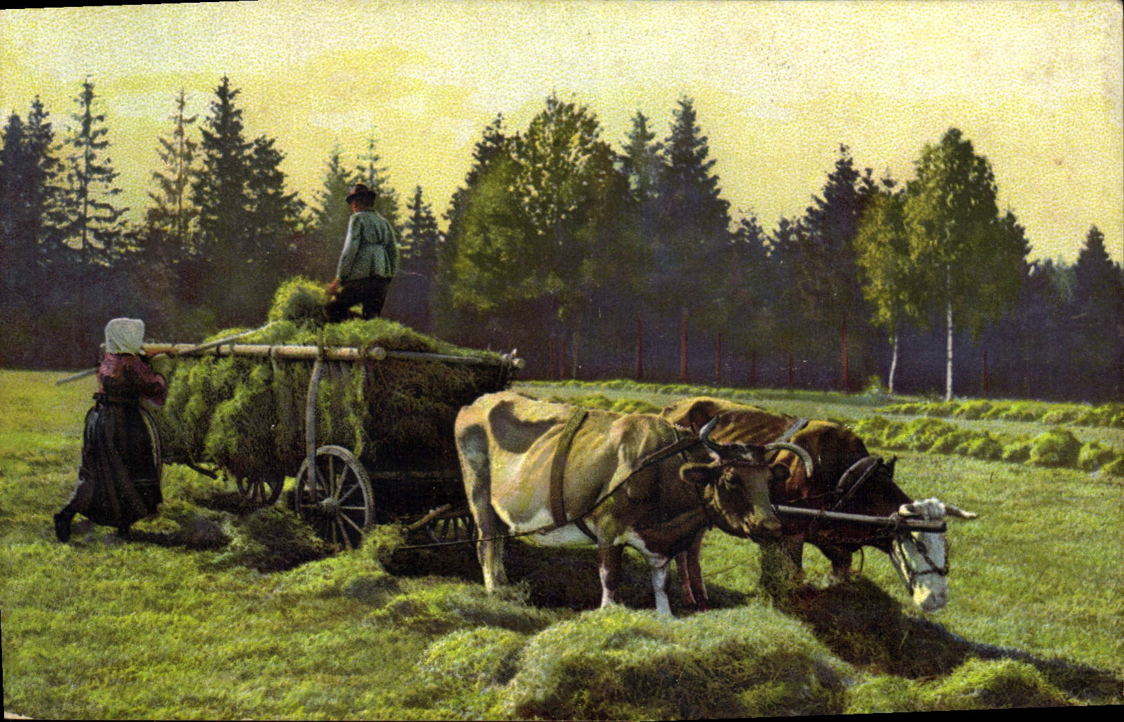 CPA Folklore Fenaison Attelage Boeufs 