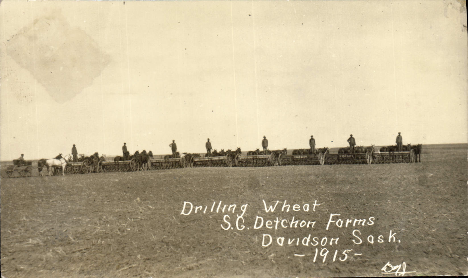 Drilling Wheat — S.G. Detchon Farms, Davidson, Saskatchewan — 1915