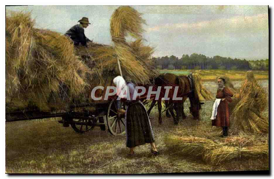Scène de moisson — travailleurs dans un champ — Photochromie, Série 106, N° 2253