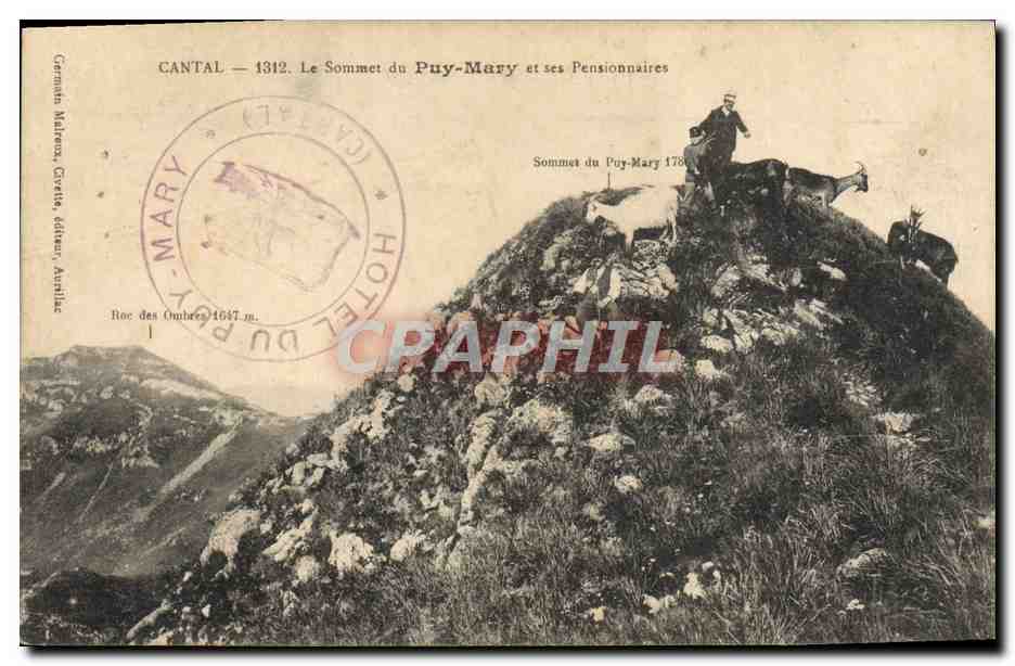 CPA Chevre Cantal Le sommet du Puy Mary et ses pensionnaires 