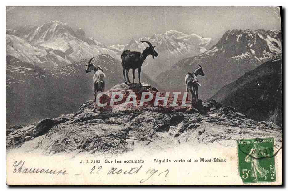 Chamounix — Sur les sommets — Aiguille verte et le Mont-Blanc — J.J. 3162