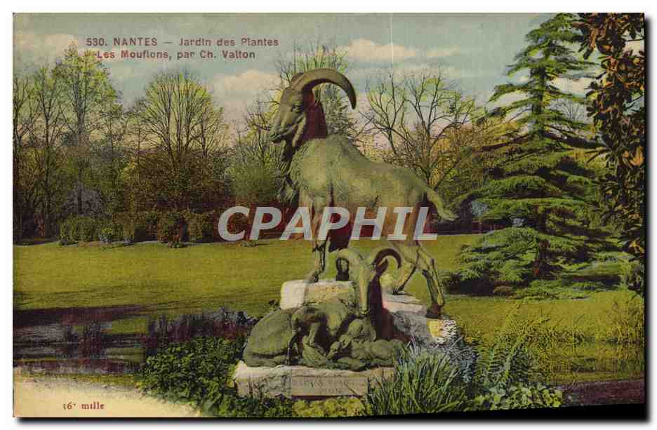 CPA Nantes Jardin des plantes Les mouflons par Ch Valton