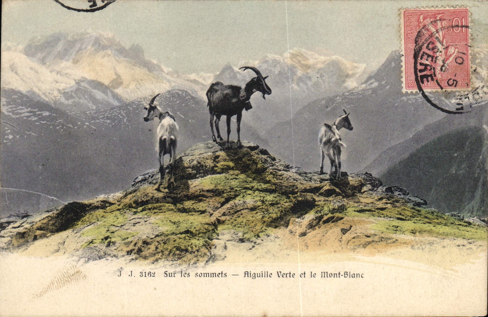 Sur les sommets — Aiguille Verte et le Mont-Blanc — J.J. 3162