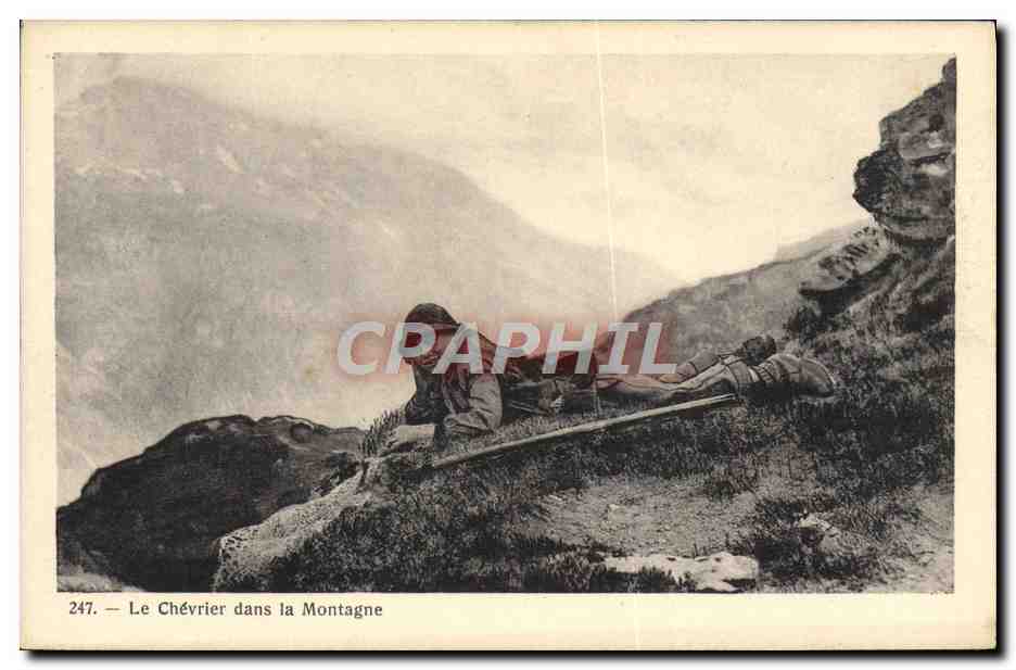CPA Chevre Le chevrier dans la montagne