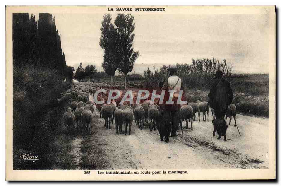 CPA Folklore Les transhumants en route pour la montagne Moutons Savoie 