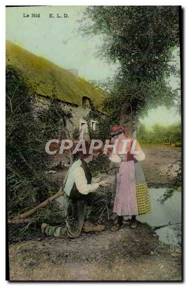 CPA Folklore Le nid