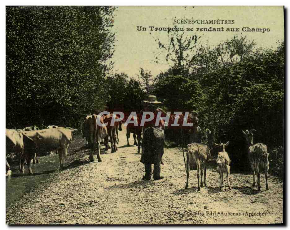 CPA Folklore Un troupeau se rendant aux champs Chevre Vaches