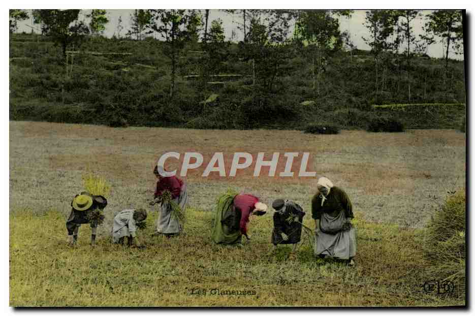 CPA Folklore les glaneuses