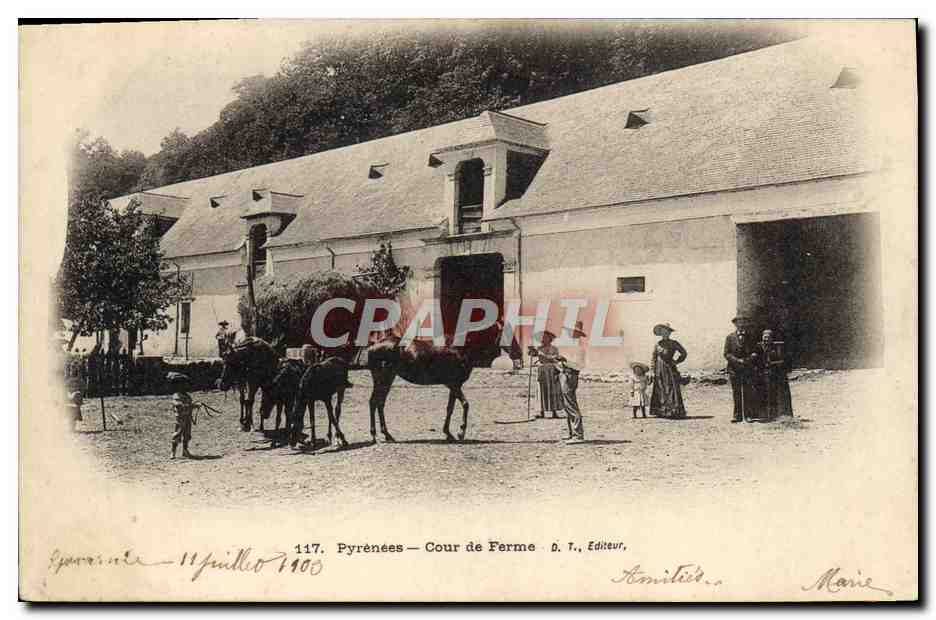 CPA Folklore Pyrenees Cour de ferme 