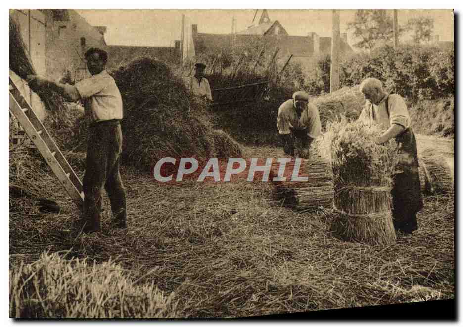 Scène de moissonnage — La Normandie pittoresque — Éditions de la Normandie