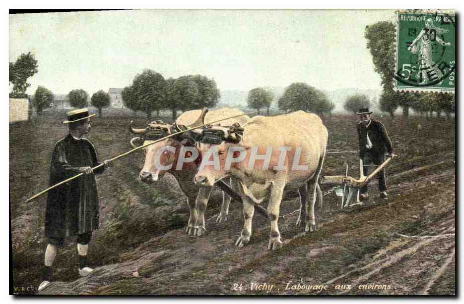 CPA Folklore Vichy Labourage aux environs Boeufs 