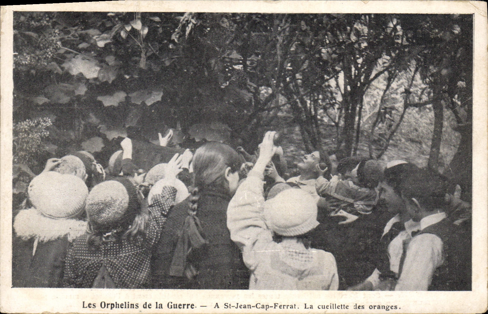 CPA Les orphelins de guerre A St Jean Cap Ferrat La cueillette des oranges Enfants