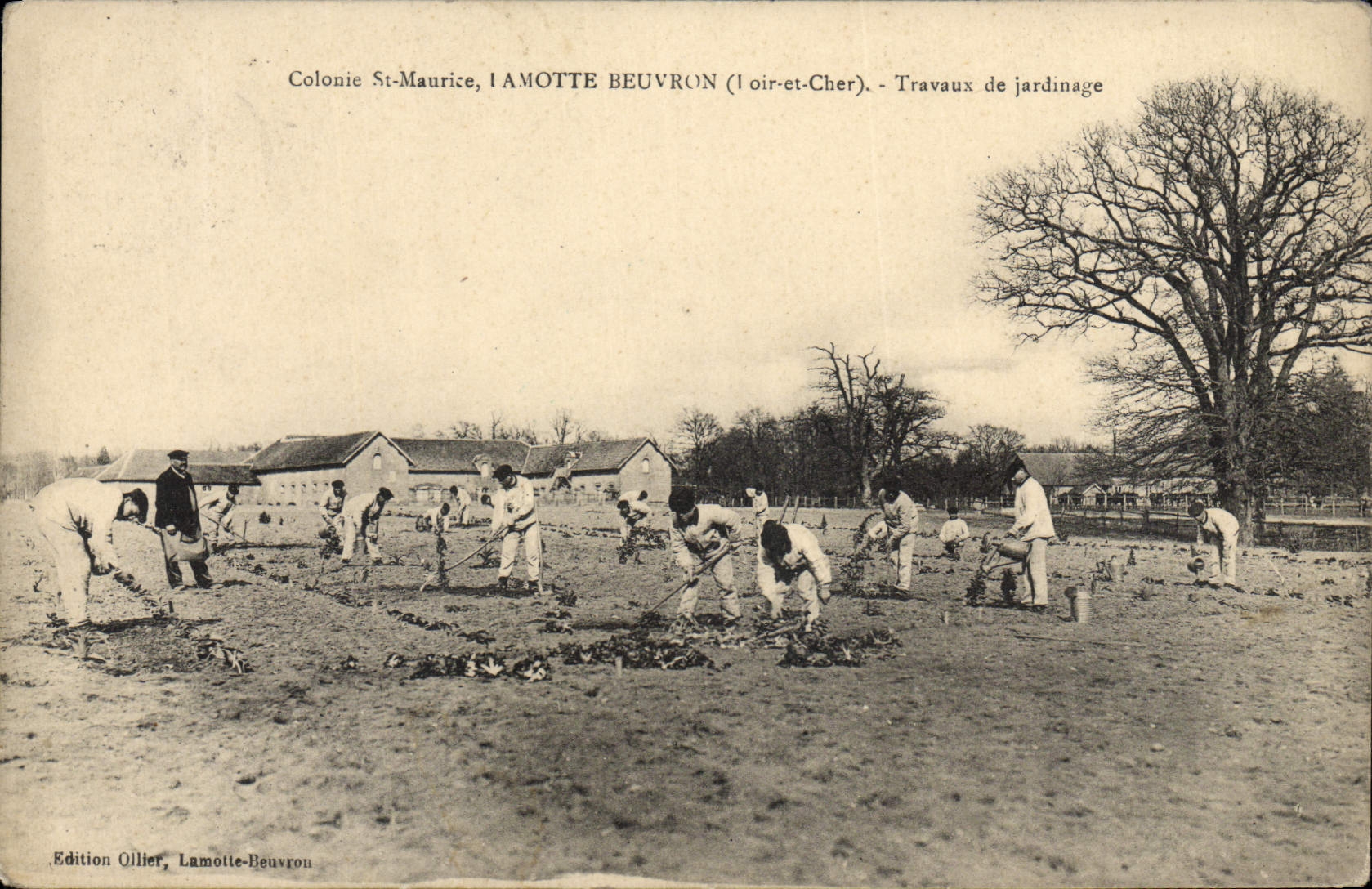 Colonie St-Maurice, Lamotte-Beuvron (Loir-et-Cher) — Travaux de jardinage — Édition Ollier, Lamotte-Beuvron