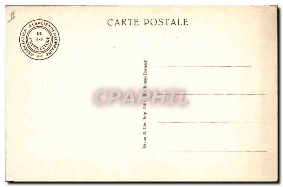 CPA Enfants  — Rückseite