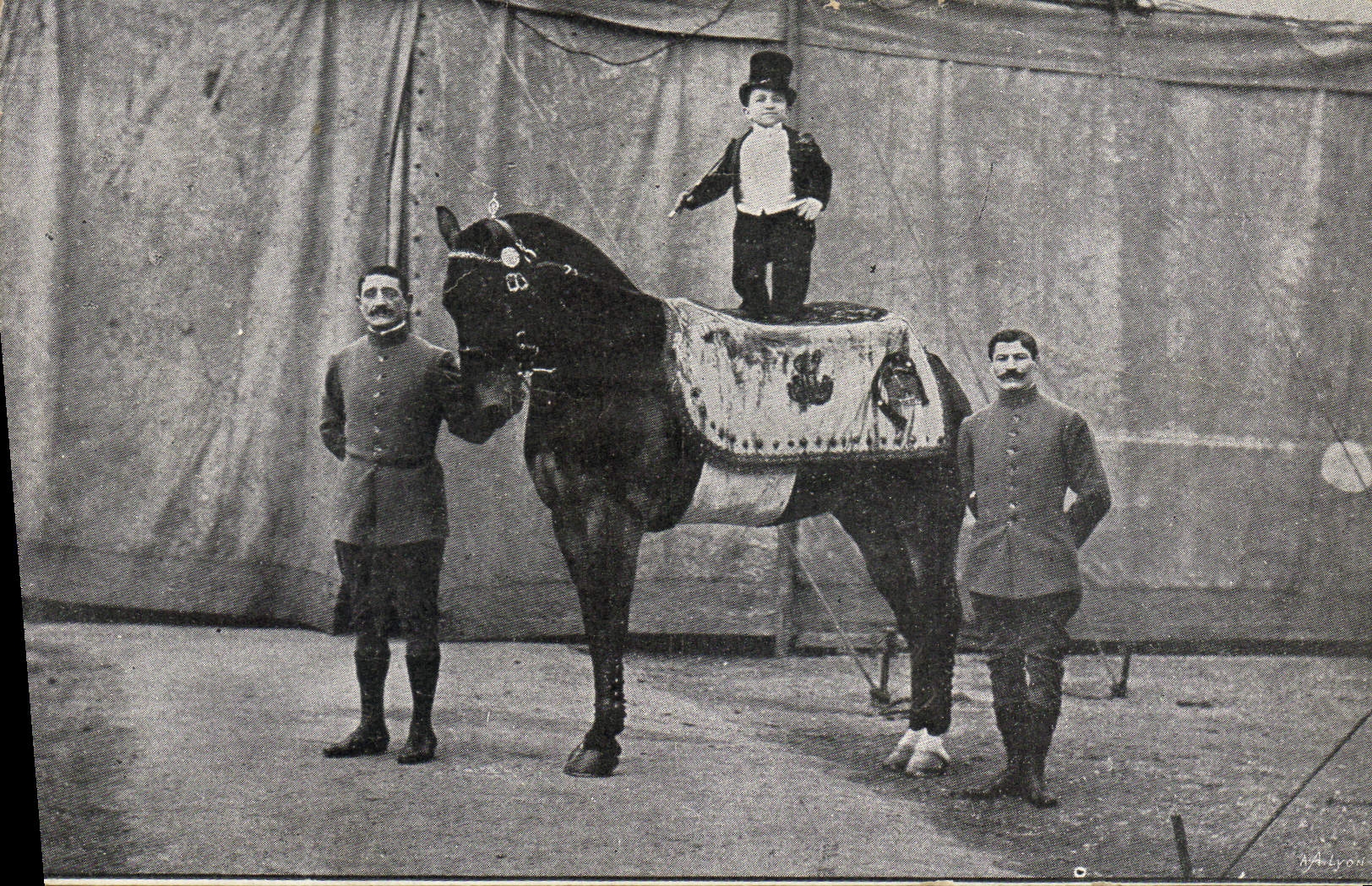 CPA Foklore Nain Cheval