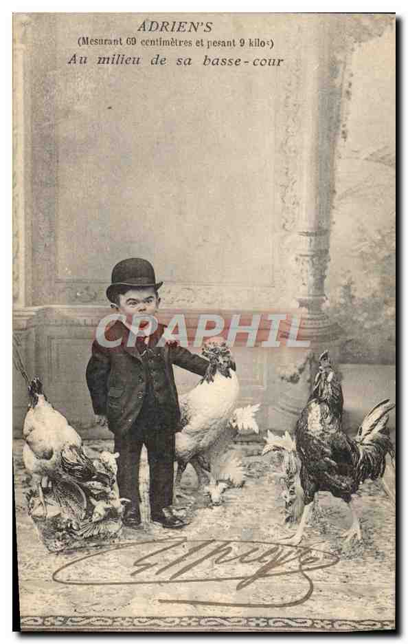 CPA Foklore Nain Adrien's 69 centimetres Au milieu de sa basse cour Coq TOP