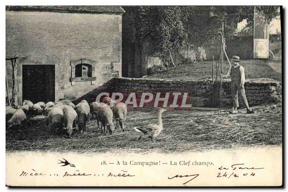 CPA Folklore A la campagne La clef champs Moutons Oie