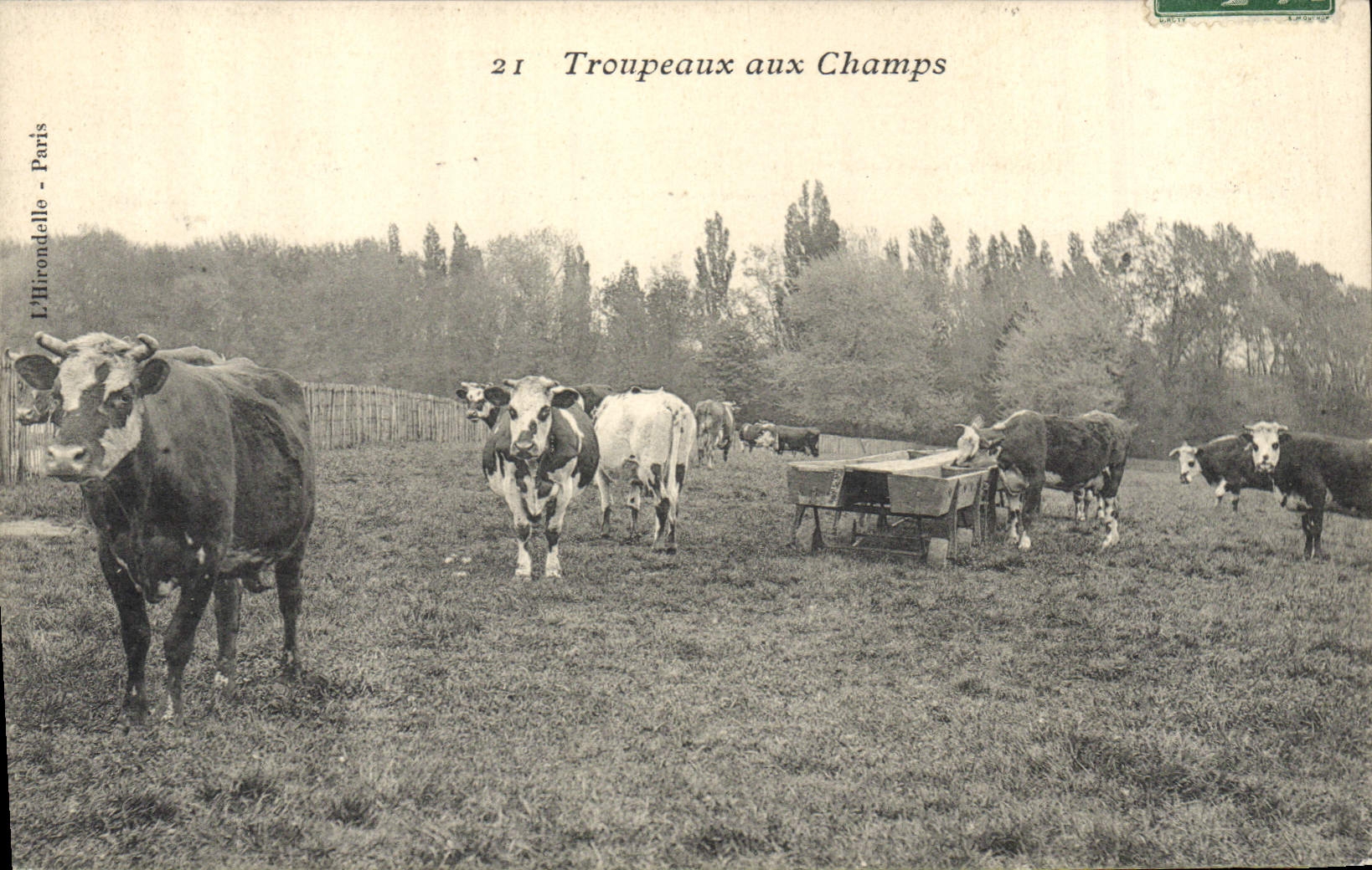 CPA Folklore Troupeaux aux champs Vaches 