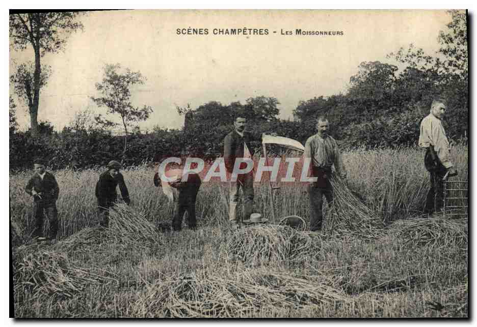 CPA Folklore Scenes champetres Les moissonneurs 