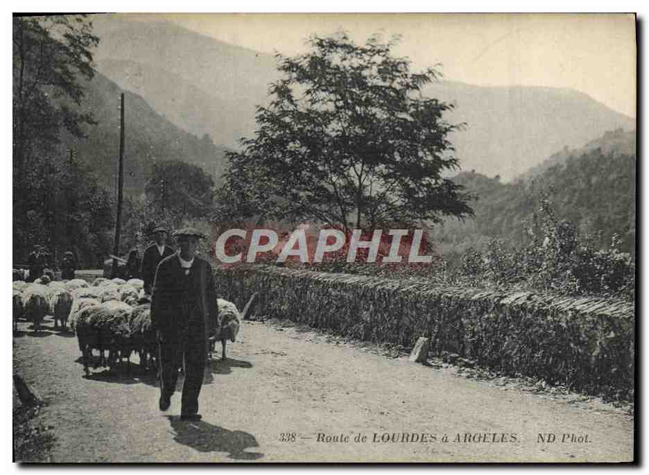 CPA Folklore Route de Lourdes a Argeles Moutons