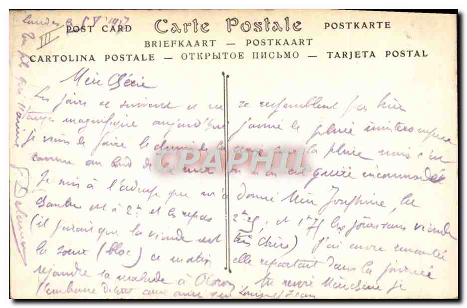 CPA Folklore Route de Lourdes a Argeles Moutons — Rückseite