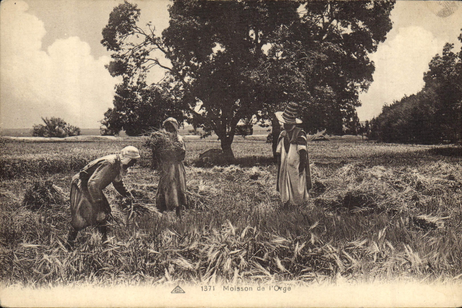 CPA Folklore Moisson de l'orge 