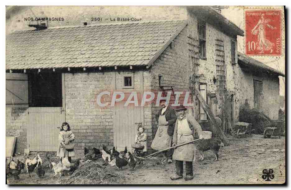 CPA Folklore La basse cour 