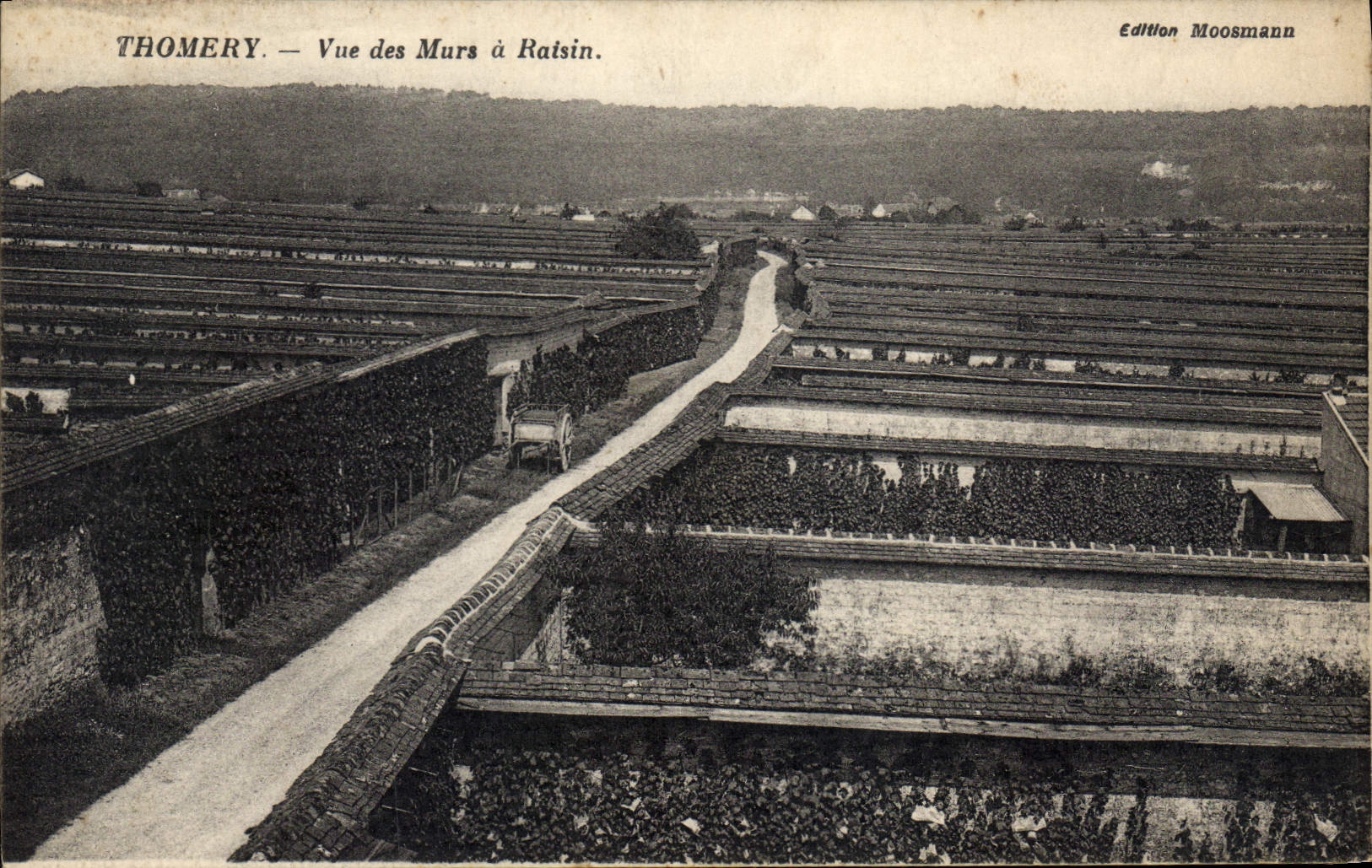 Thomery — Vue des Murs à Ratsin — Edition Moosmann