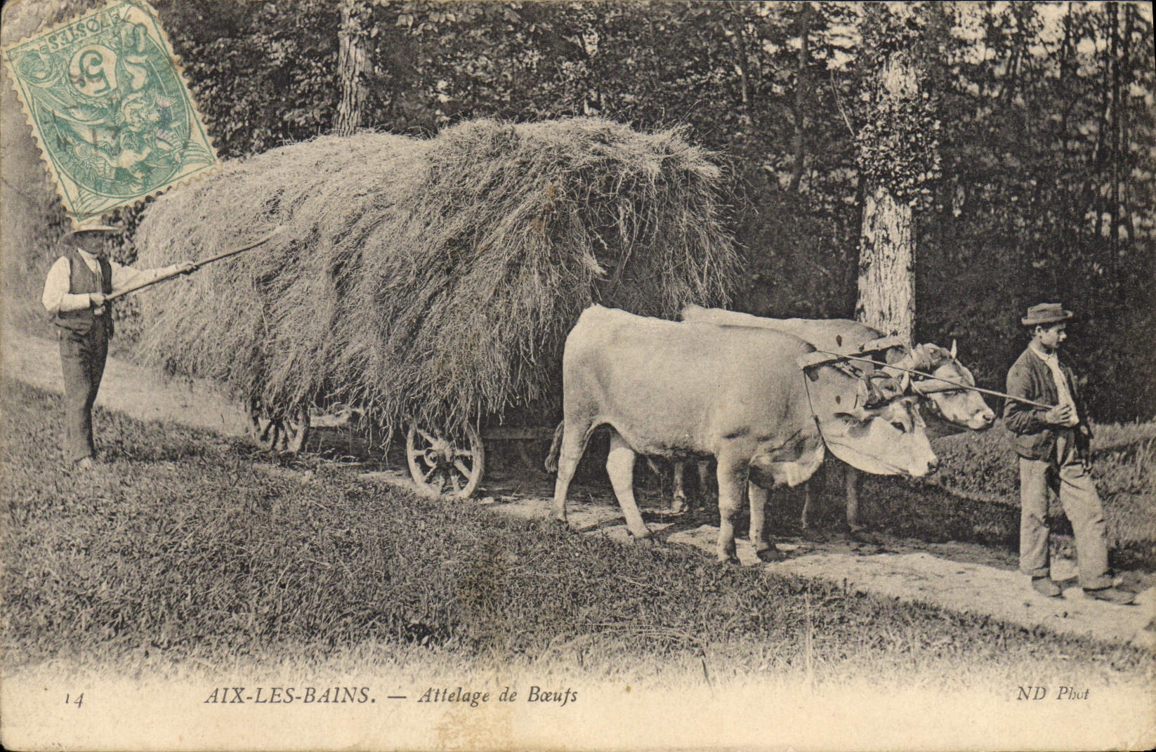 CPA Folklore Aix les Bains Attelage de Boeufs 