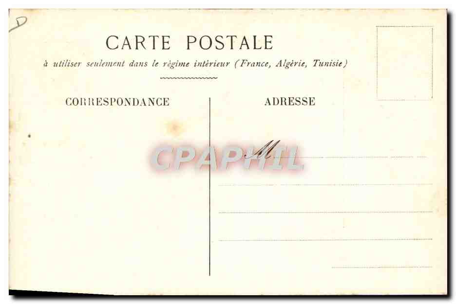 CPA Ecriture Les 2 etapes de la vie Chien Oie Waterman TOP  — Verso
