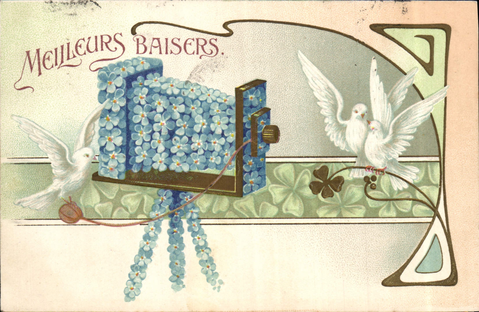 CPA Photographie Fleurs Colombe