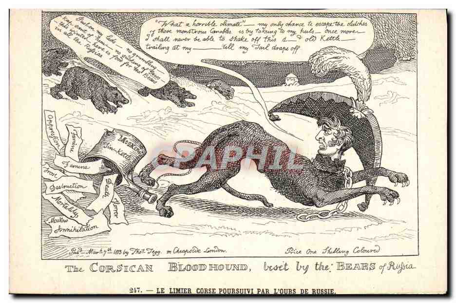 CPA Napoleon 1er The Corsican bloodhound Chien Corse Corsica 