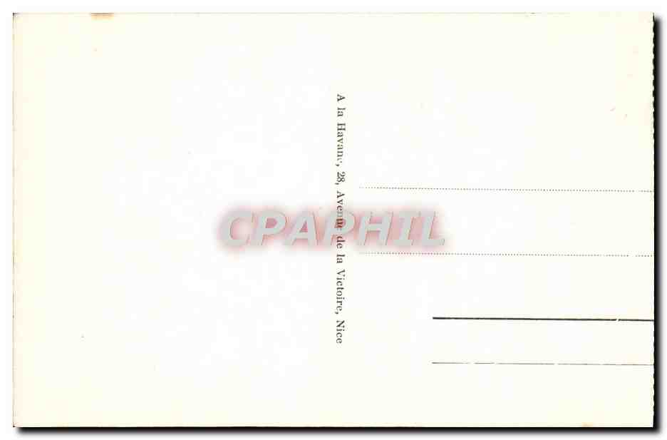 CPA Nice Vue Generale a Travers les Pins — Verso