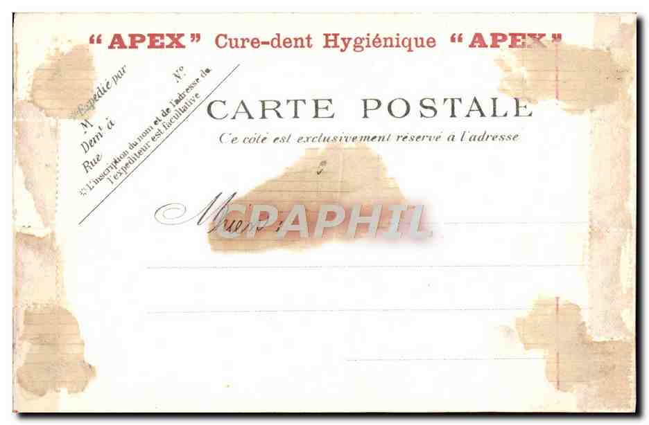 CPA Tour Paris Le Museum De Zoologie Zoo — Rückseite