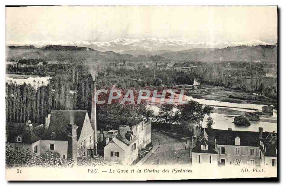 CPA Pau Le Gave et la Chaine des Pyrenees