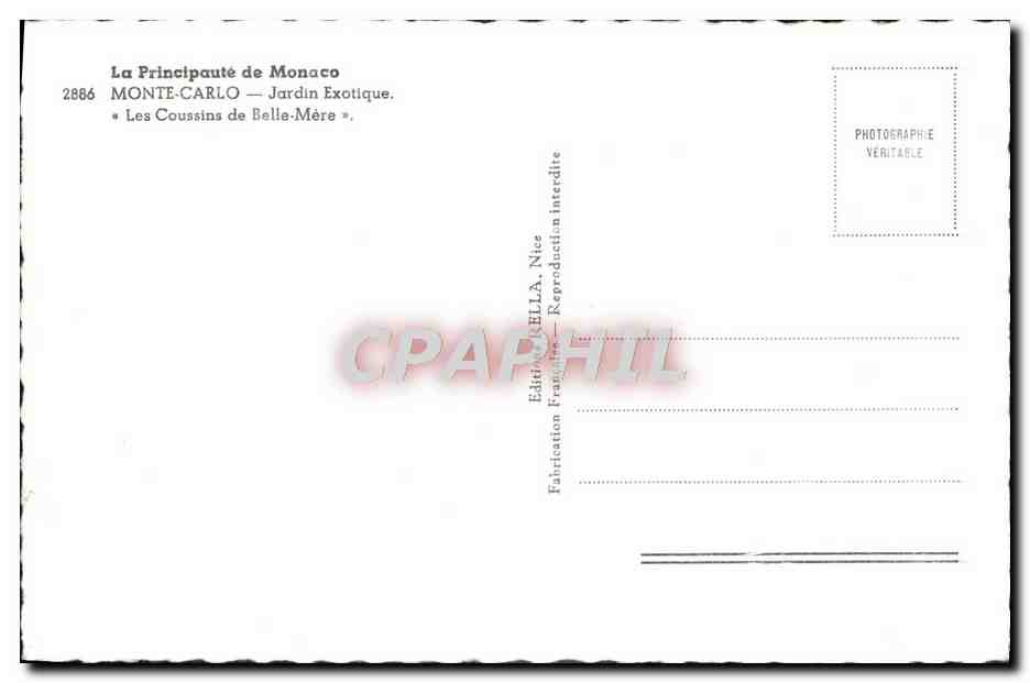 CPM Monte Carlo Jardin Exotique Les coussins de la Belle Mere — Verso