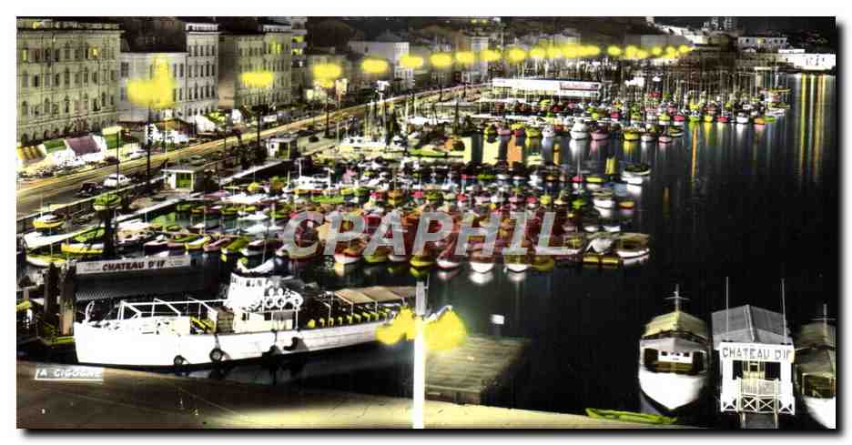 CPM Marseille la Nuit Le Quai des Belges et le quai de Rive Neuve Chateau d'If