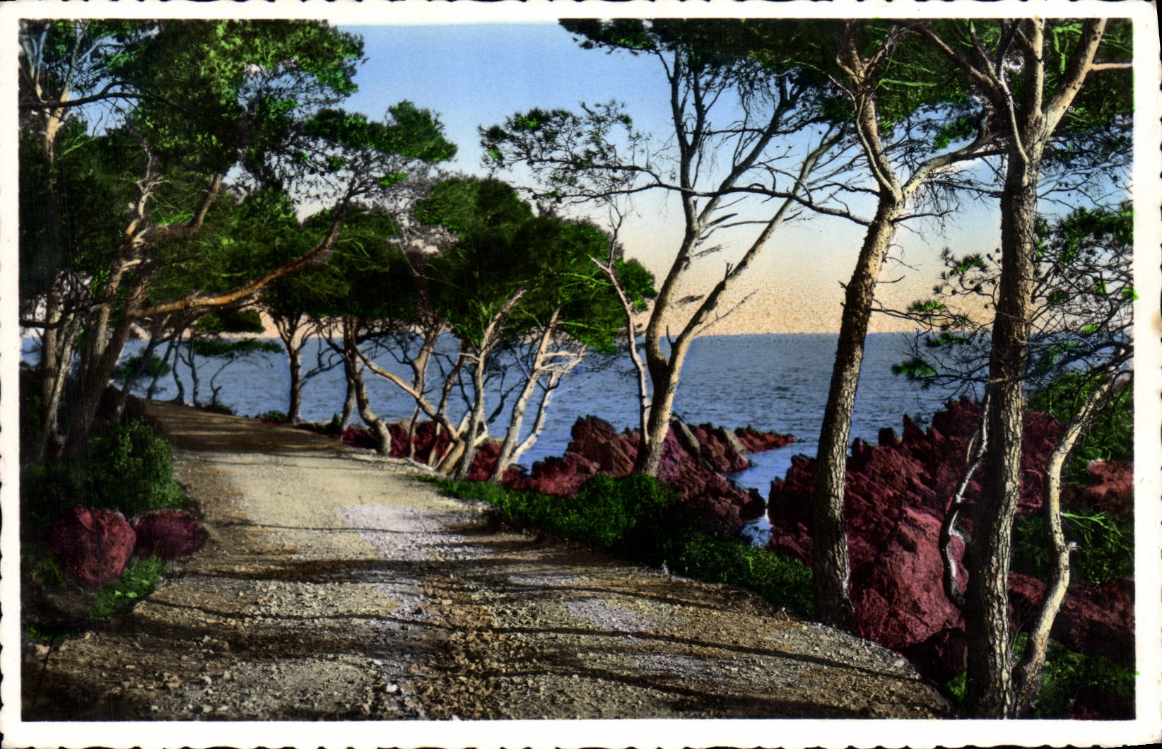 La Côte d'Azur — Le chemin sous les pins — Éd. A. JAX, 4, r. Conte, Félix-Gastald, Monaco