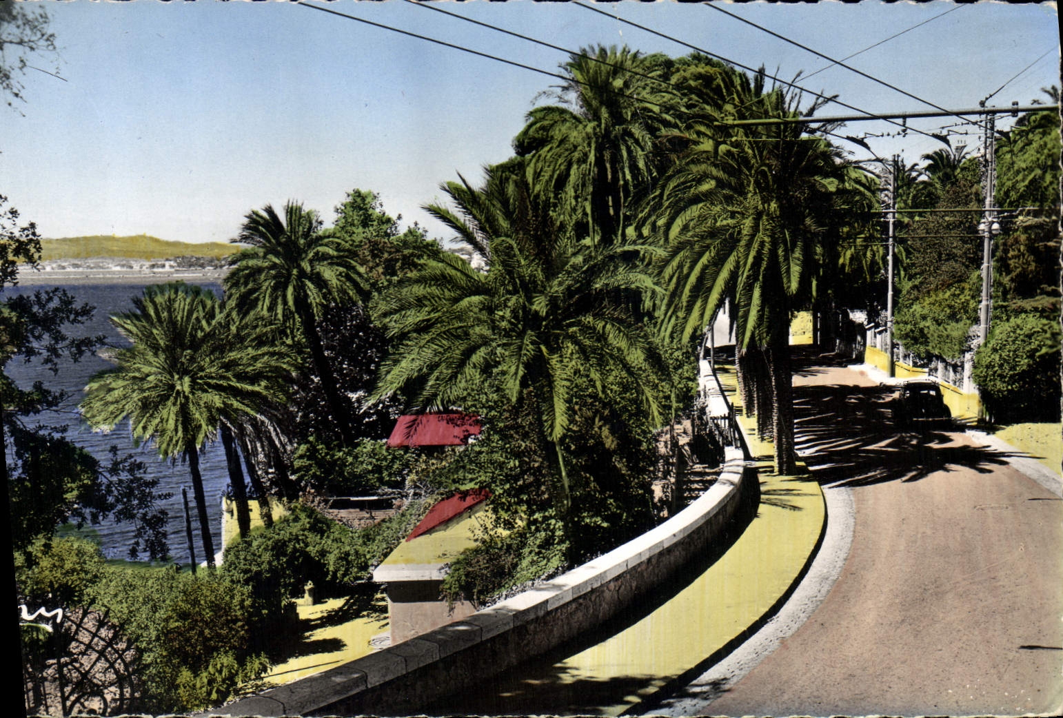 Vue de la Côte d'Azur — Route bordée de palmiers — Éditeur : C. G. P. M. — N° 367 - Anverso