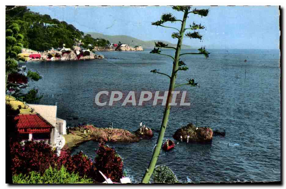 Vue sur le Cap-Brun — Toulon — Éditions PRISÉO