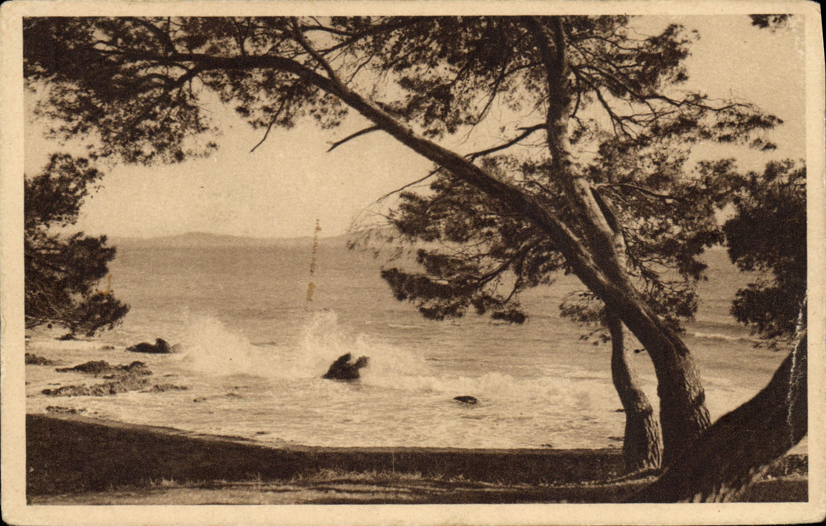 Carqueiranne-Les Salettes — La Mer vue de la Pinède — Éditions Fiore (Var)