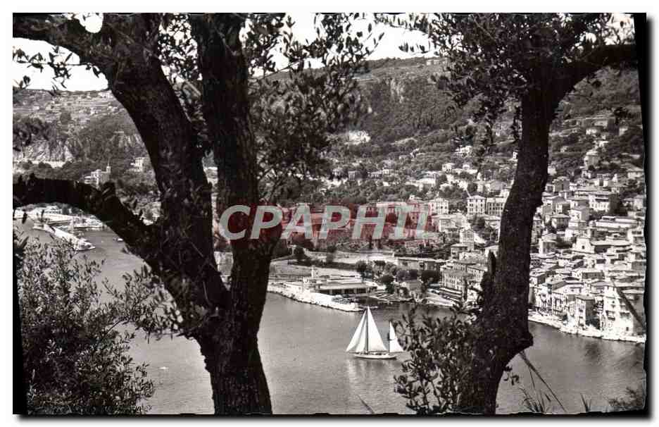Villefranche-sur-Mer — Vue prise entre les Oliviers — L. Gilletta & Cie, Photographe