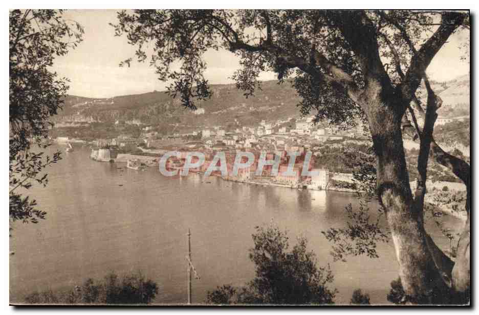CPA Villefranche vue a travers les oliviers