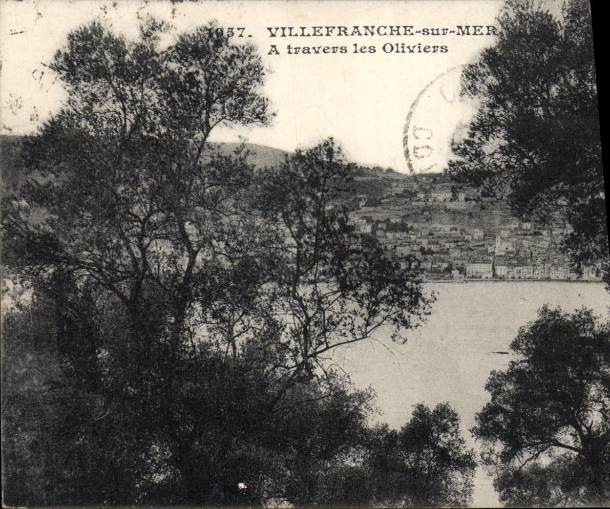 Villefranche-sur-Mer — Vue à travers les oliviers — Éditeur : 1957